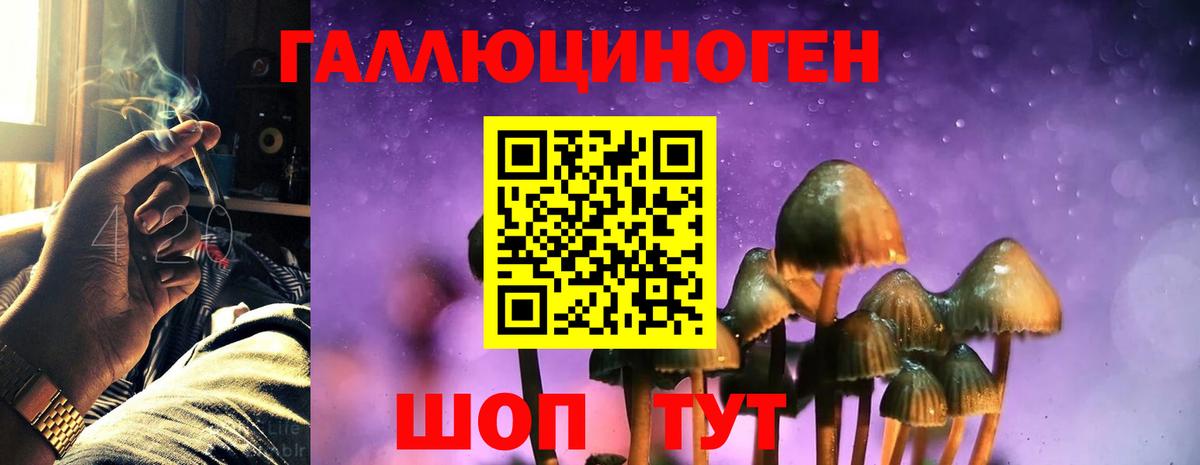 Псилоцибиновые грибы Magic Shrooms Брянск